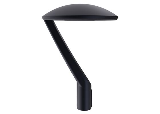 ENEC CB RETILAP SAA SABER CE RoHS Certified 30W CROWN GEN3 LED Street Light DALI Urban Street Light Garden Light INMETRO IP66 Outdoor Tool-free Opening Design