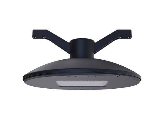 ENEC CB RETILAP SAA SABER CE RoHS Certified 30W CROWN GEN3 LED Street Light DALI Urban Street Light Garden Light INMETRO IP66 Outdoor Tool-free Opening Design